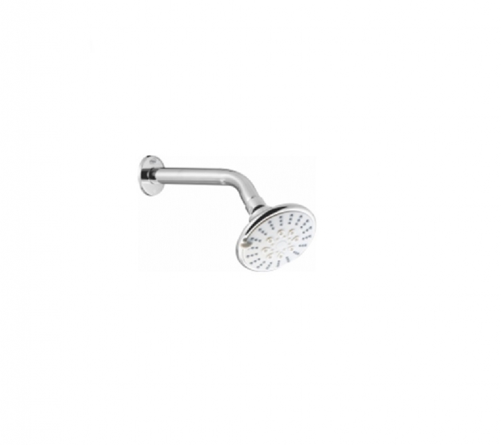 Plastic O.H. Shower With S.S. Arm